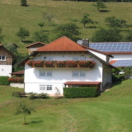 Ferienwohnung Burgblick Seelbach  Kültér fotó
