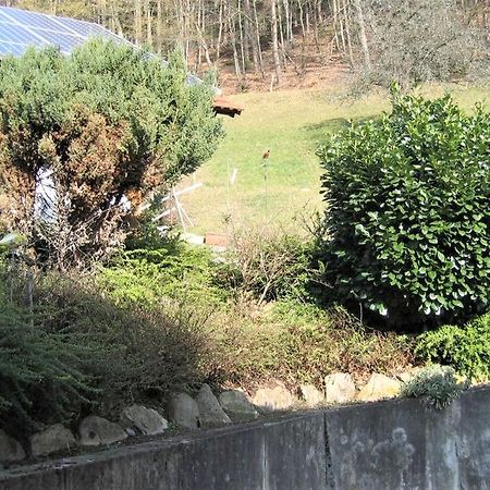 Ferienwohnung Burgblick Seelbach  Kültér fotó