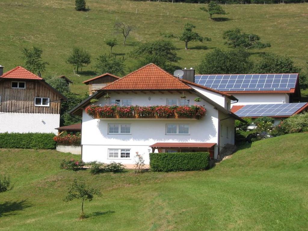Ferienwohnung Burgblick Seelbach  Kültér fotó
