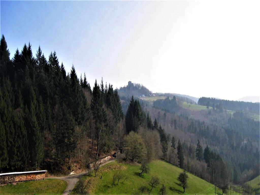 Ferienwohnung Burgblick Seelbach  Kültér fotó