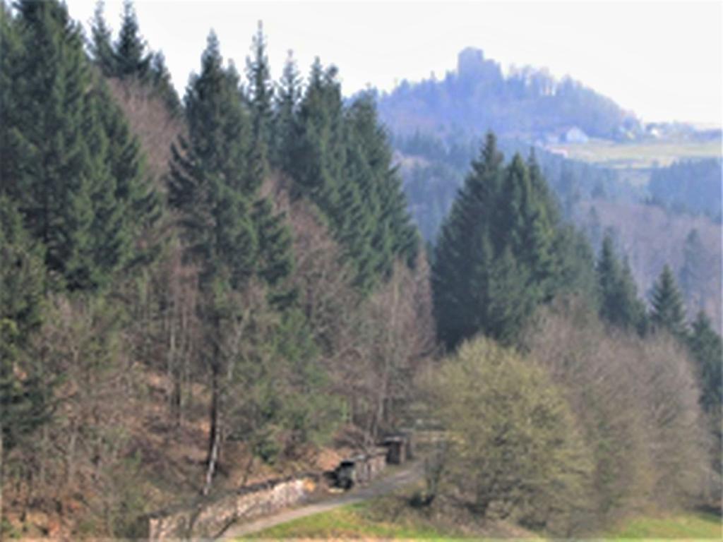 Ferienwohnung Burgblick Seelbach  Kültér fotó