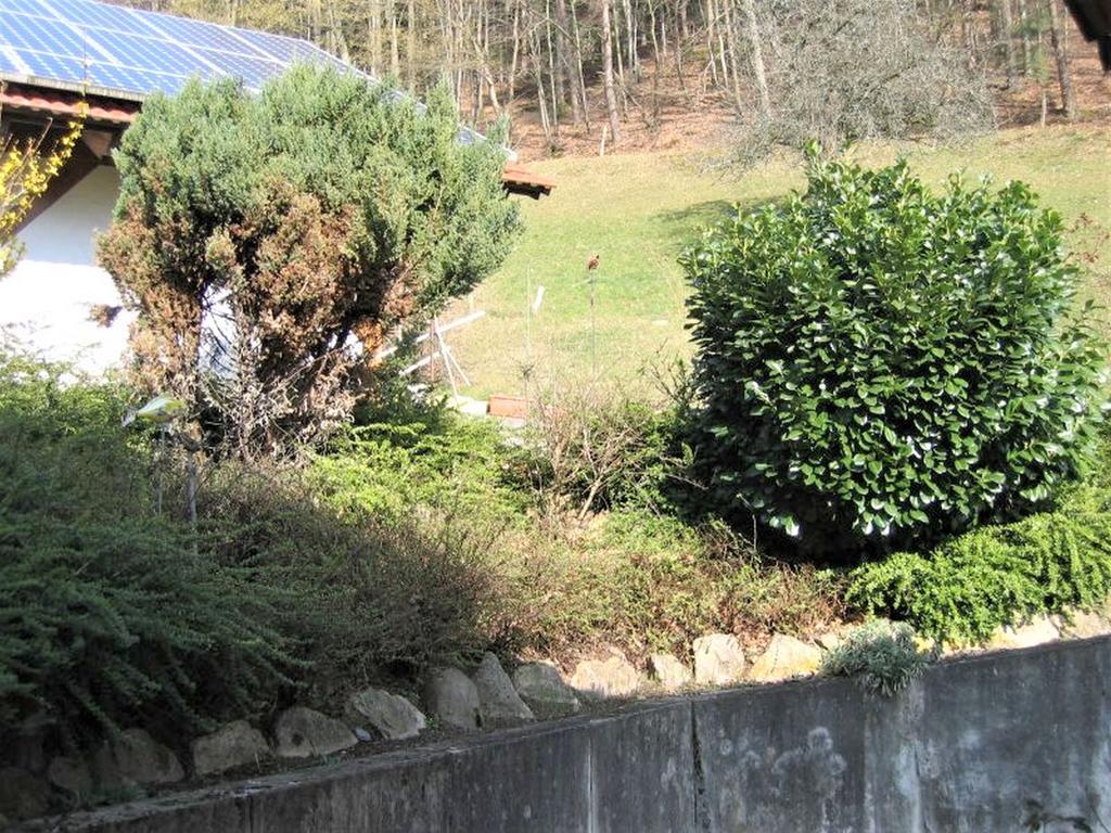Ferienwohnung Burgblick Seelbach  Kültér fotó